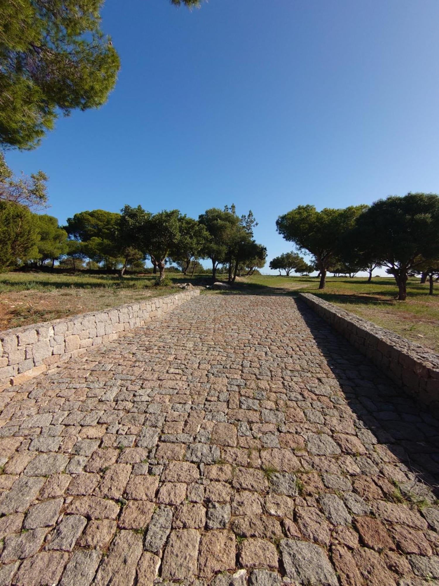 My Way Kavos Villa Agia Marina (Aegina) Exterior foto