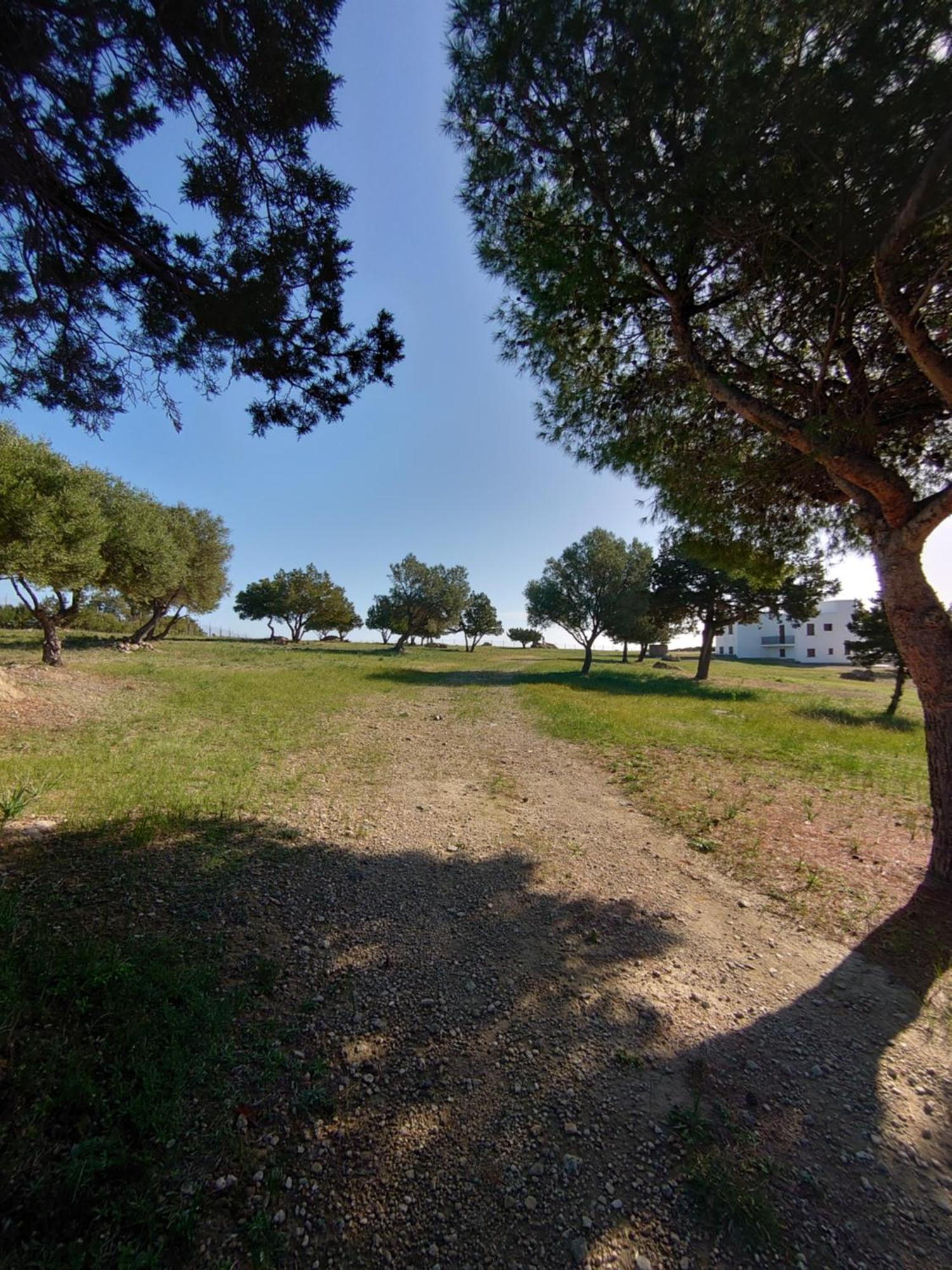 My Way Kavos Villa Agia Marina (Aegina) Exterior foto