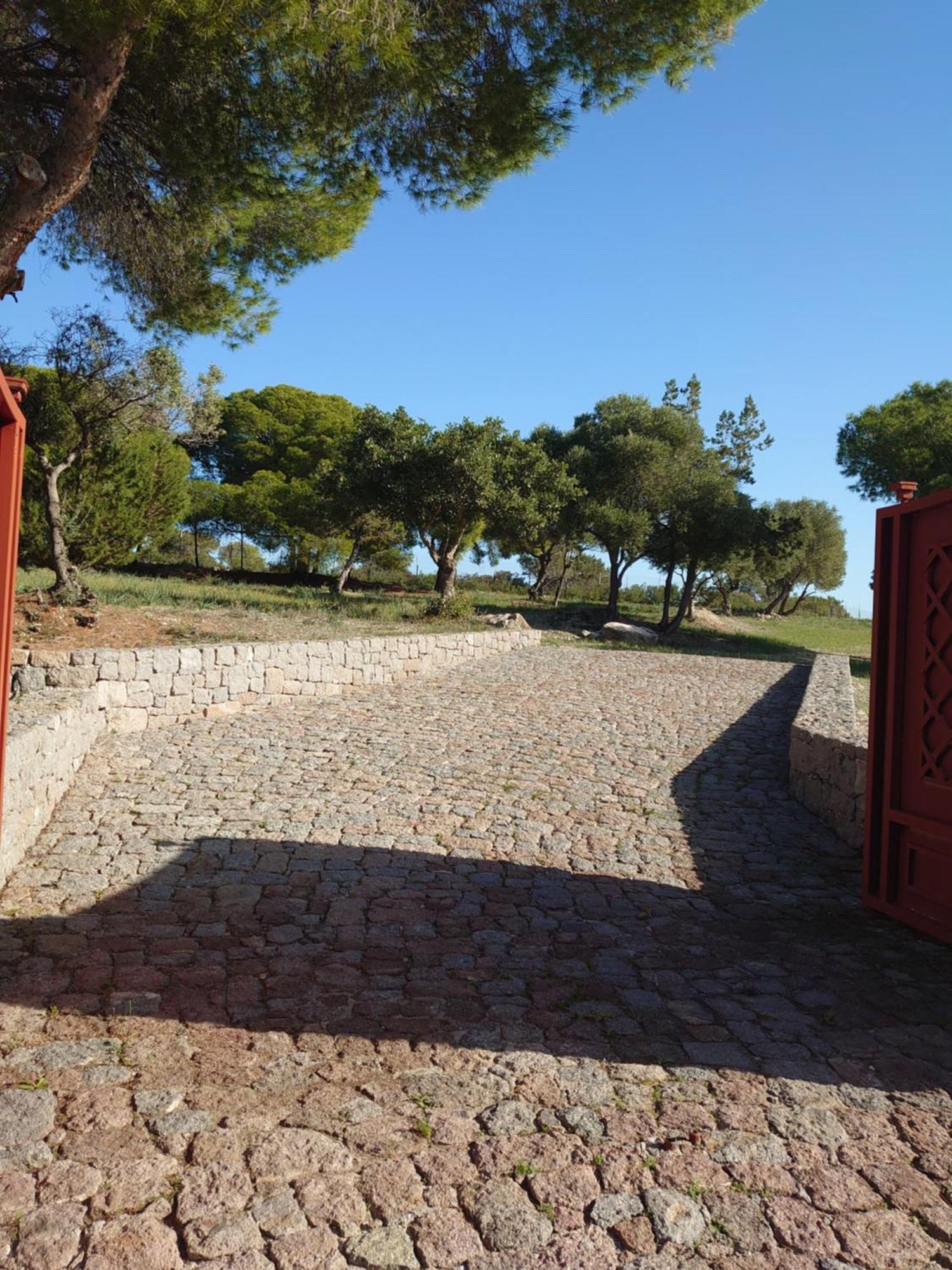 My Way Kavos Villa Agia Marina (Aegina) Exterior foto